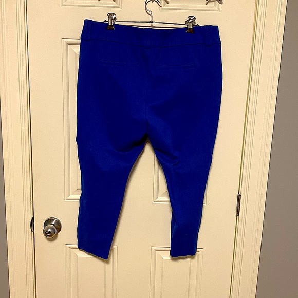 Size 16 Cobalt Blue Ankle Pants (Torrid) - Picture 2 of 3